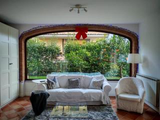 Daphne Experience - 6