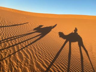 chegaga Desert camp - 9