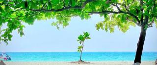 Апартаменты VIP Great Hill - 2