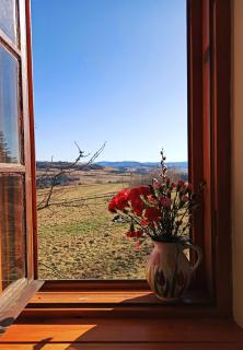 Dom na Leśnej - Mszana Dolna - 6