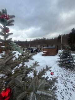 CABANA VALEA POPII - 8