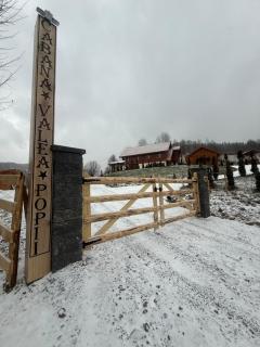 CABANA VALEA POPII - 9