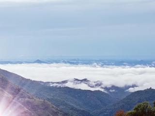 Maple home stay and cottage - 8