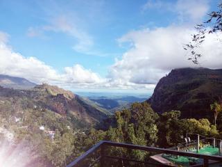 Maple home stay and cottage - 9