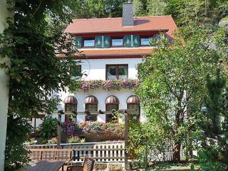 Pension Fuhrmann's Elb- Café - Bad Schandau - 9