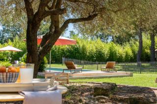 Petit mas calme typique du Sud ! - 0