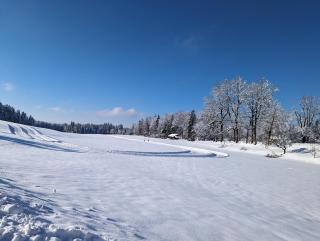 Geigerhof Bad Heilbrunn - 5