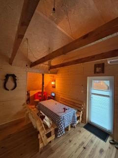 Apartament z antresolą Igły i Szyszki - 9