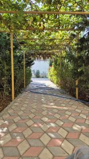 Green Garden Shuvelan - 3