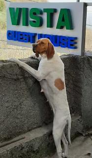 Guest House Vista - 0