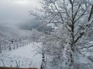 MOSES HOUSE-მოსეს სახლი - 7