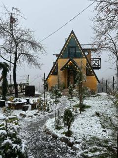 MOSES HOUSE-მოსეს სახლი - 5