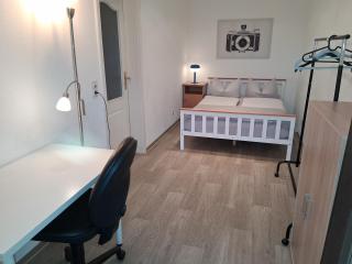 Große Stadtwohnung mit Balkon - 2