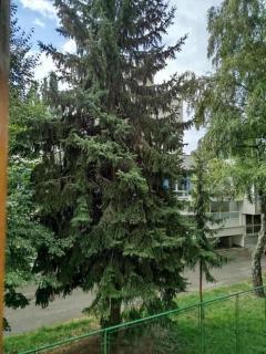 Odmor u Sarajevu na Grbavici - 7