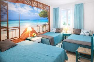 Can Pau Llanca Sf Parascheva - 0