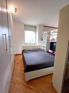 Large terrace overlooking San Luca - 6