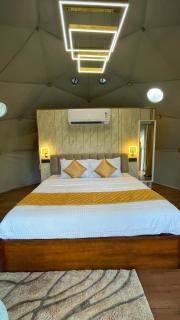 The Edens Glamp Munnar-An luxury Getaway - 7