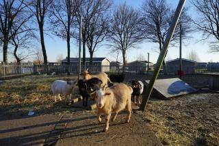 Traumhaus am Wasser Mit Boot, SUPs, Angeln, Family - 4