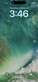 Sehaliah Agricultural Farm Resort - 8