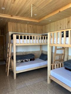 Nesto Stay and Cafe, Shoja Jibhi - 4