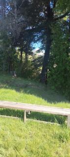 El Rincon de la Olguita - 8