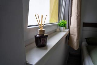 Cozy Vienna Studio Close to Metro and 10 Minutes to City Center - 4