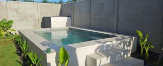 Nuevo Leones, #50 - Parrita - 0