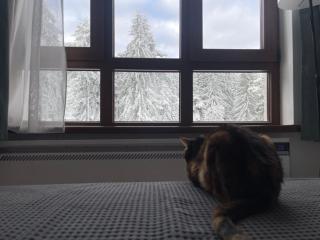 Studios and Apartments - Semiramida Gardens - 9