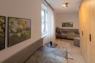 Möblierte Apartments nähe Speyer - 7