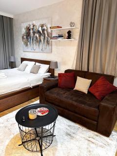 Zlatibor Studio 6 - 9