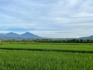 Villa Serenity Beachfront Bali - 3