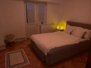 City Calm Apartment 2 camere - 8