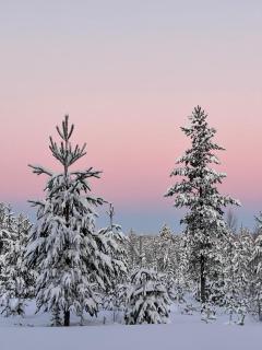 Villa Blacksmith - 6