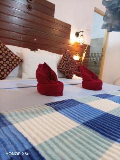 Royal homestay at Misty Mountain - 2