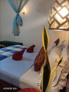 Royal homestay at Misty Mountain - 3