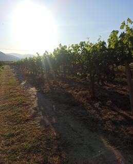 Holiday House Rizomylos - 6