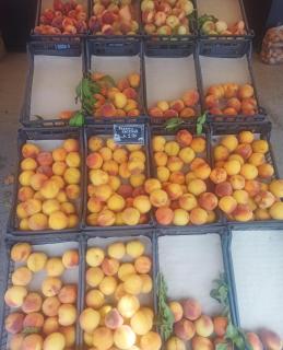 Holiday House Rizomylos - 5