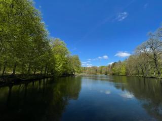 Spaceous, cozy, fully equipped in beautiful nature with lake view - 6