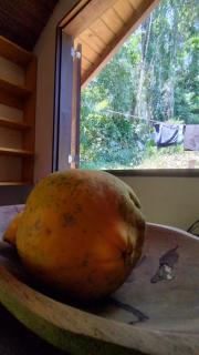 Sitio Flor do Coriscão Paraty - 2