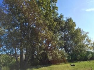 House for 8-14 people 25 min from Barcelona, Montserrat, Sitges, Penedes, Sant Cugat - 1