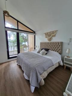 Puerto Varas frente al Lago Llanquihue "Aedes Salus" - 1