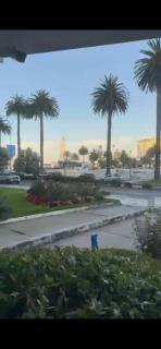 Departamento, Viña del Mar - 9