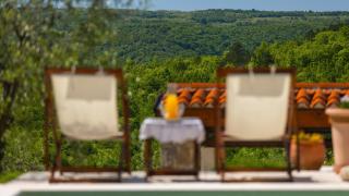 Beautiful Villa Cartolina with pool in Buje - 3