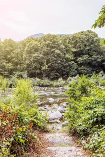 Immersi nella natura con accesso al fiume maggia - 2