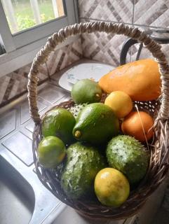 studio confort Green home - 1