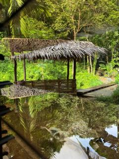 Jungle Stay El Nido - 8