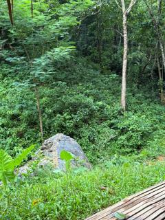 Jungle Stay El Nido - 5