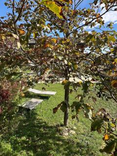 South-facing chalet 15 minutes from skiing - 5