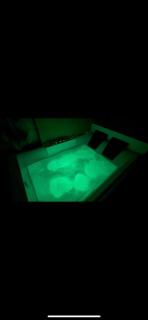 Luxury Jacuzzi Suite- Astir,Tirana - 9