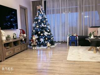 The Sunflower Hideout Levice - 0